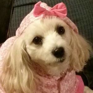 Meet your Posher, Kathy